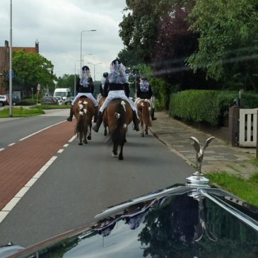 Extra paardenkrachten