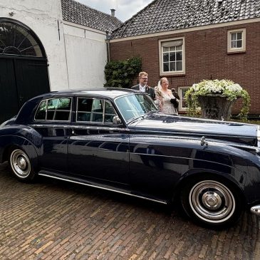 Een beestenboel.